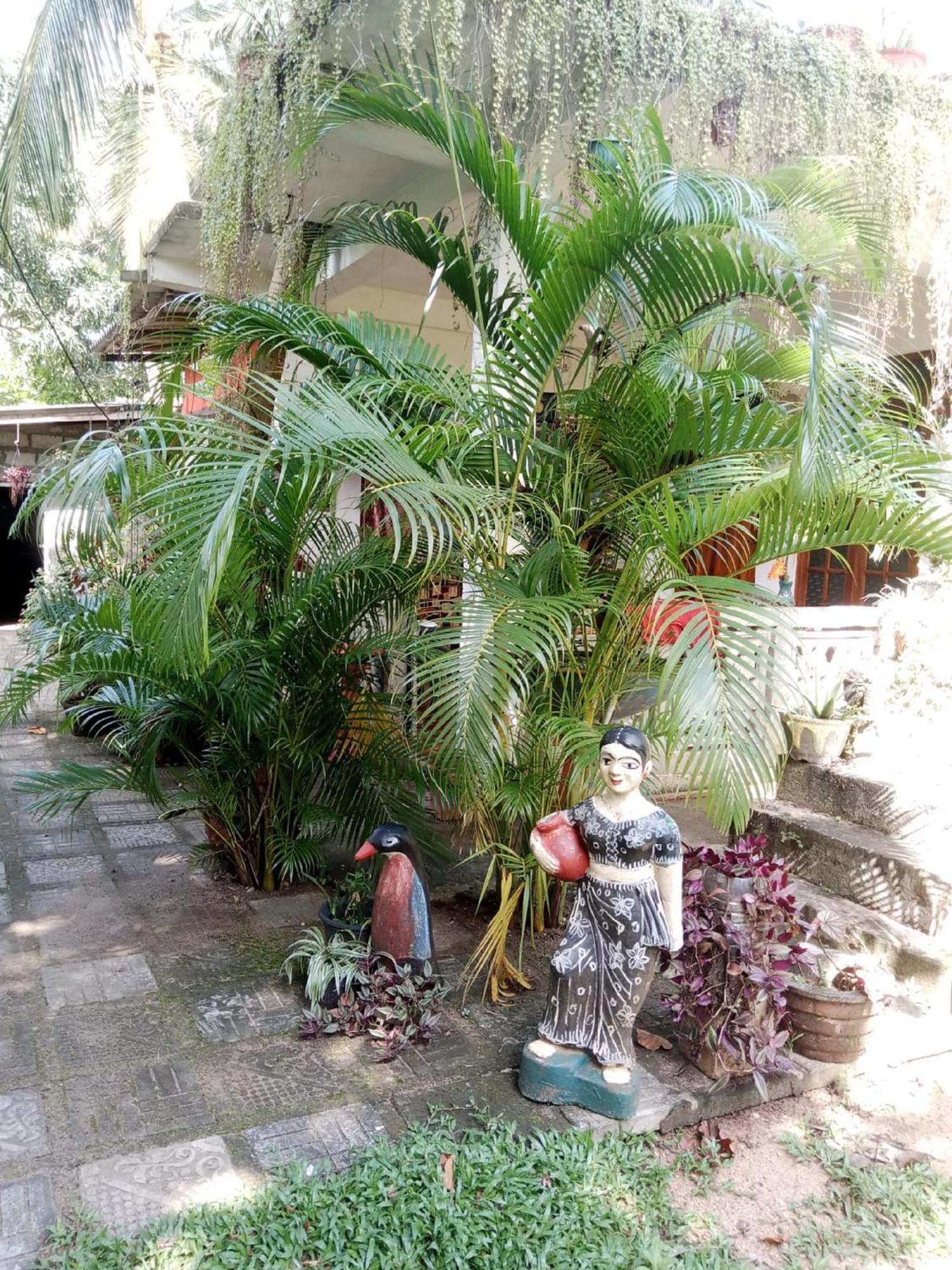 Nelum Home Stay Sigiriya Exterior foto